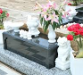 MAI TÁNG TÂN TÀI THỌ